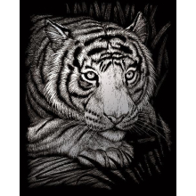                             Škrábací obrázek stříbrný - Bílý tygr                        
