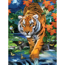                            Malování podle čísel 22x30cm Tygr                        