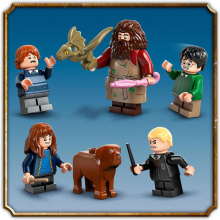                            LEGO® Harry Potter™ 76428 Hagridova bouda: Neočekávaná návštěva                        