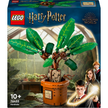                             LEGO® Harry Potter™ 76433 Mandragora                        
