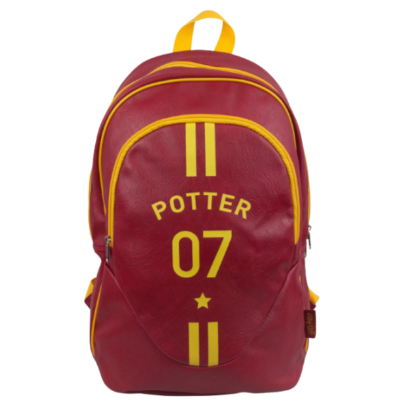 EPEE merch - Harry Potter Sportovní batoh Famfrpál                    