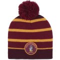 Cerdá - Zimní dětská čepice Harry Potter Nebelvír