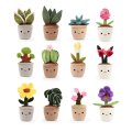 Keeleco Botanická zahrada 14 cm, 12 druhů