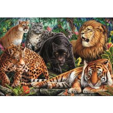                             Clementoni - Puzzle 500 Divoké kočky                        