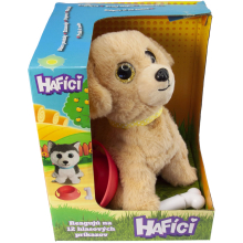                             Hafík II. Lumpík-retriever SK                        