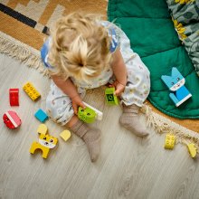                             LEGO® DUPLO® 10477 Roztomilí kreativní mazlíčci 3 v 1                        