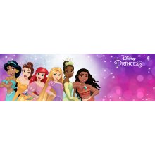                             Disney Princess baletka více druhů                        
