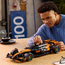                             LEGO® Technic 42228 Auto McLaren MCL39 F1®                        