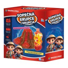                             Sopečná erupce                        