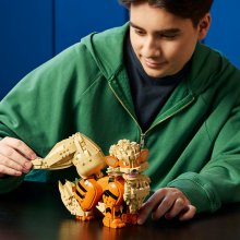                             LEGO® Pokémon™ 72160 Arcanine                        