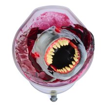                             Primal Hatch Velký interaktivní žralok líhnoucí se z vejce                        