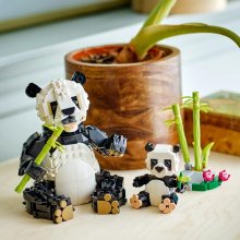                             LEGO® Creator 3 v 1 31165 Divoká zvířata: Pandí rodinka                        