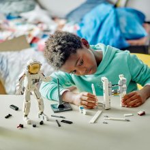                             LEGO® Creator 3 v 1 31152 Astronaut                        
