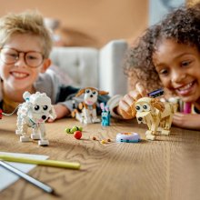                             LEGO® Creator 3 v 1 31137 Roztomilí pejsci                        