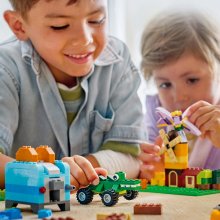                             LEGO® Classic 10696 Střední kreativní box LEGO®                        