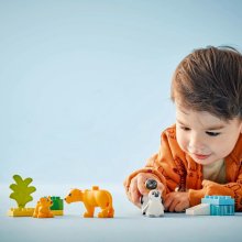                             LEGO® DUPLO® 10442 Rodinky divokých zvířat: Tučňáci a lvi                        