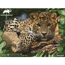                             PRIME 3D PUZZLE - GES Jaguar 100 dílků                        