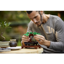                             LEGO® Botanicals 10281 Bonsaj                        