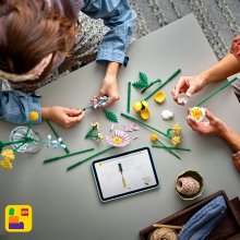                             LEGO® Botanicals 10347 Drobná slunečná kytice                        