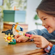                             LEGO® Creator 3v1 31173 Divoká zvířata: Tropický tukan                        