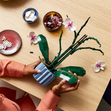                             LEGO® Botanicals 10311 Orchidej                        