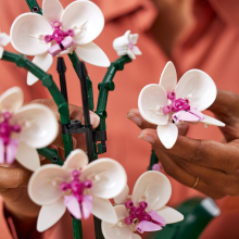                             LEGO® Botanicals 10311 Orchidej                        