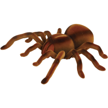                             R/C Pavouk Tarantule s biomimikry a svítícími očima                        