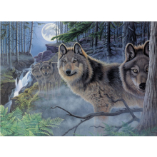                             Malování podle čísel velké Royal Vlci v noci                        