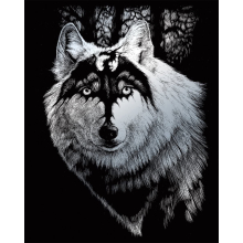                             Škrábací obrázek stříbrný - Dračí vlk                        