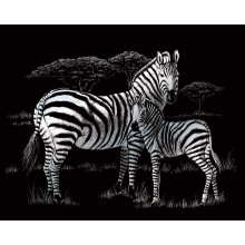                             Škrábací obrázek stříbrný - Zebry                        
