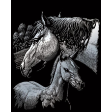                            Škrábací obrázek stříbrný - Koně SILF44                        
