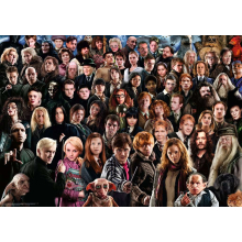                             Ravensburger Challenge Puzzle: Harry Potter 1000 dílků                        