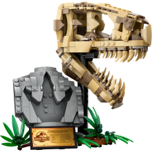                             LEGO® Jurassic World 76964 Dinosauří fosilie: Lebka T-rexe                        