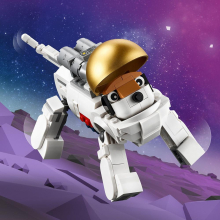                             LEGO® Creator 31152 Astronaut                        