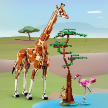                             LEGO® Creator 31150 Divoká zvířata ze safari                        