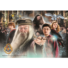                             Clementoni 27264 - Puzzle 104 Harry Potter                        