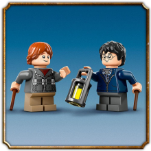                             LEGO® Harry Potter™ 76434 Aragog v Zapovězeném lese                        