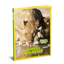                             CubicFun - Puzzle 3D National Geographic - Africká divočina 69 dílků                        