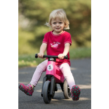                             TEDDIES - Odrážedlo FUNNY WHEELS Rider Sport růžové 2v1 růžové                        