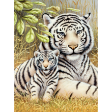                             Malování podle čísel 22x30cm Tygr v trávě                        