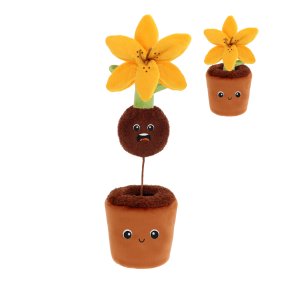 Keeleco Botanická zahrada: Překvapení v lilii 25 cm