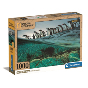 Clementoni - Puzzle 1000 Compact nat geo - gentoo penguins