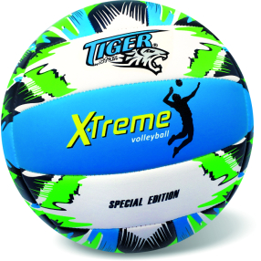 Kožený volejbalový míč Xtreem