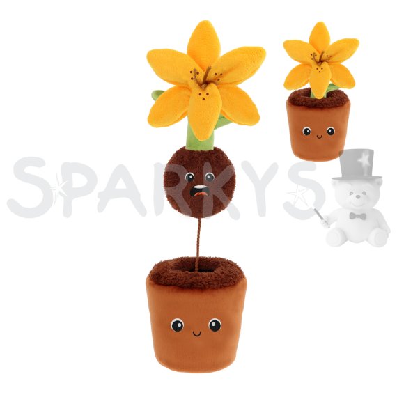 Keeleco Botanická zahrada: Překvapení v lilii 25 cm                    