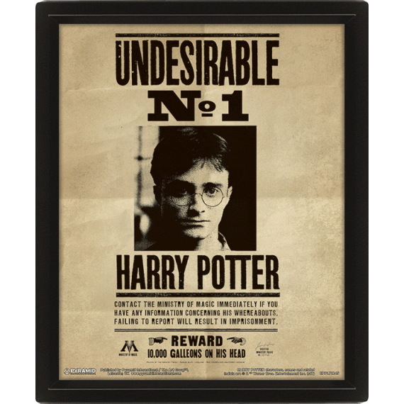 EPEE merch - 3D obraz Harry Potter - Sirius                    