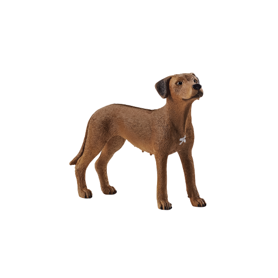 Schleich - Zvířátko - pes ridgback rhodéský                    
