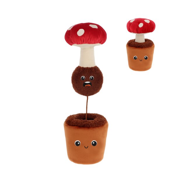 Keeleco Botanická zahrada překvapení v houbě 25 cm