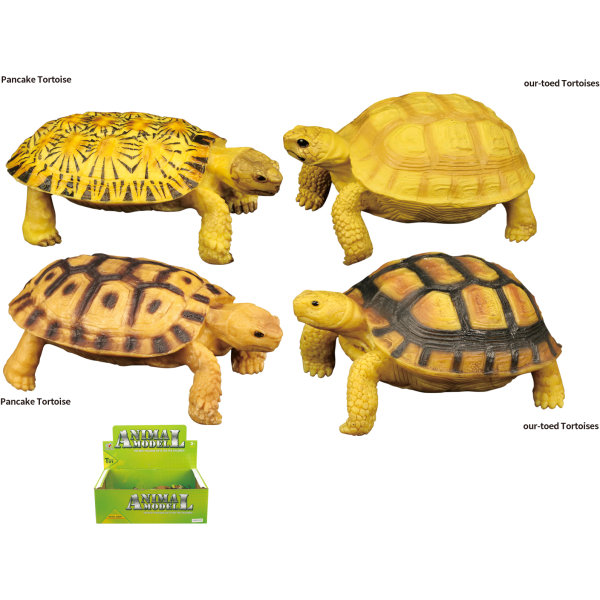 Zvířecí svět - Želva H54 4 druhy